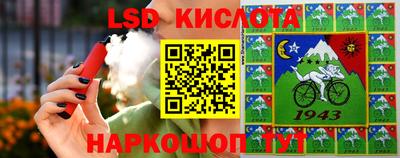 тгк Камышлов