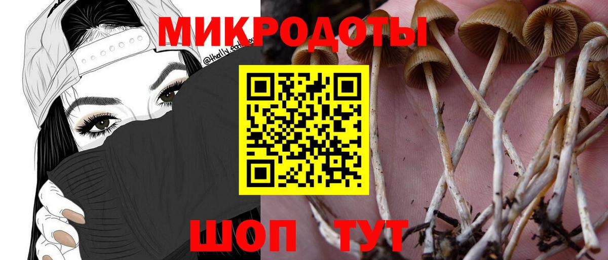 где можно купить   Псилоцибиновые грибы Psilocybe  Вход с VPN  Чебоксары 